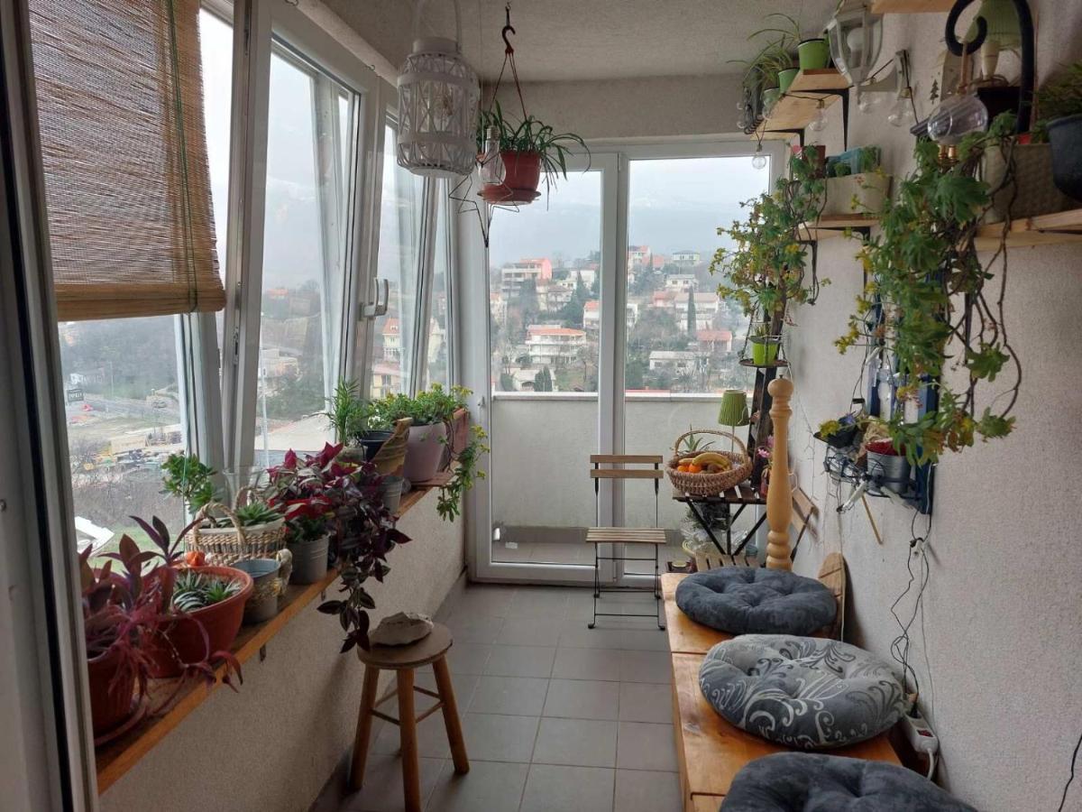 נובי ווינודולסקי Apartments Franny מראה חיצוני תמונה